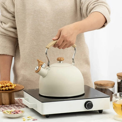 Whistling Kettle 2.5L Stainless Steel Tea Kettle