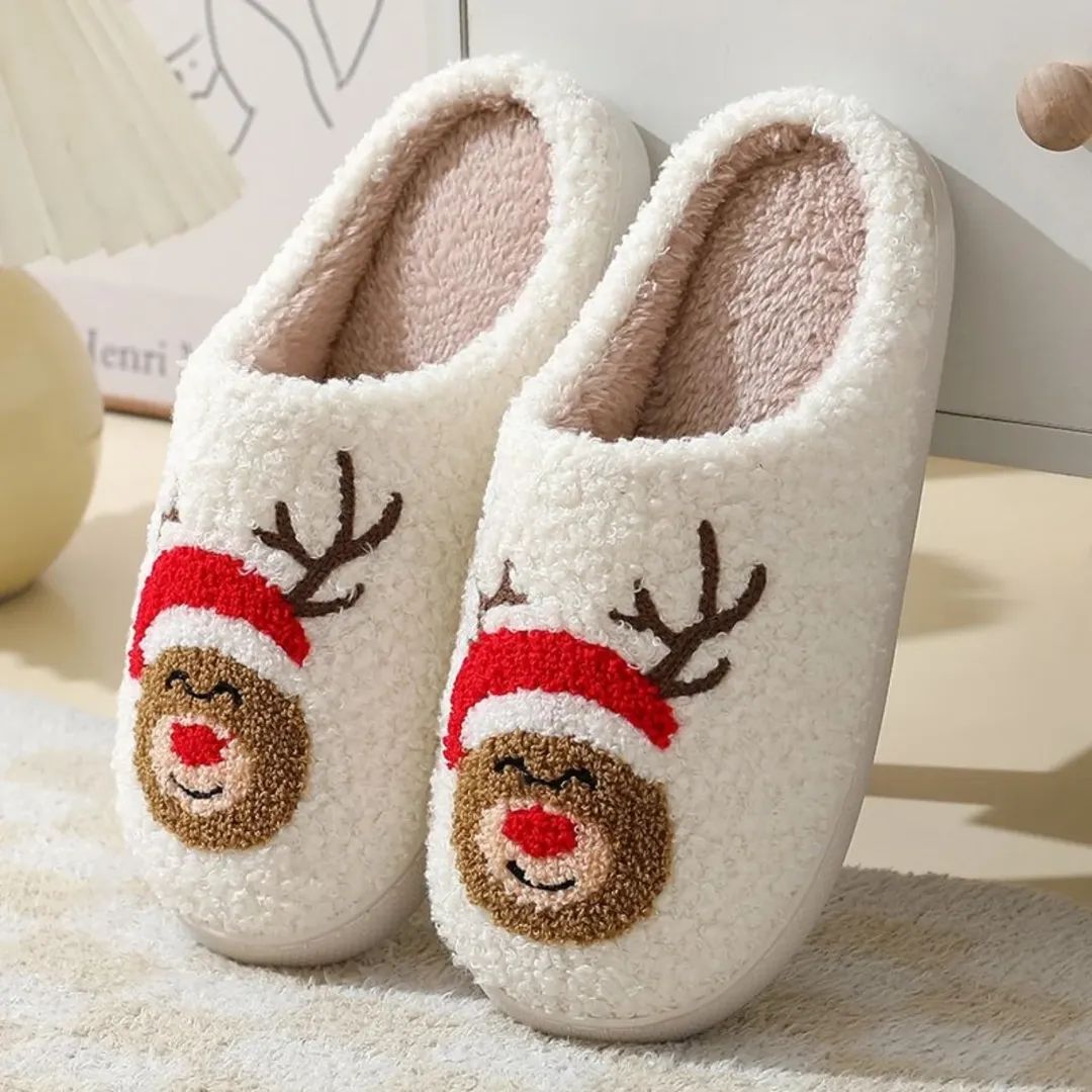 Indoor Shoes