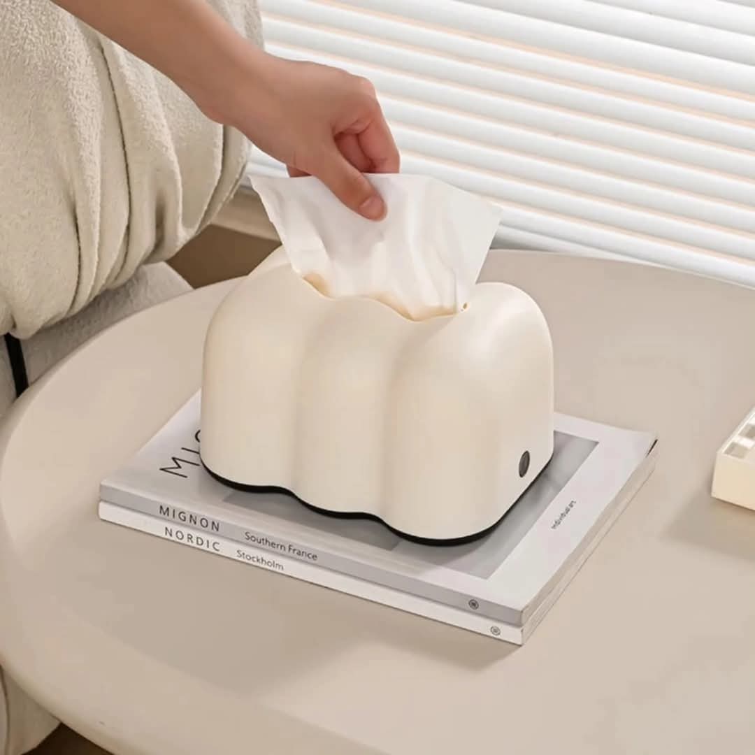 Classy cute serviette holder, decorative napkin organizer for dining table or kitchen counter