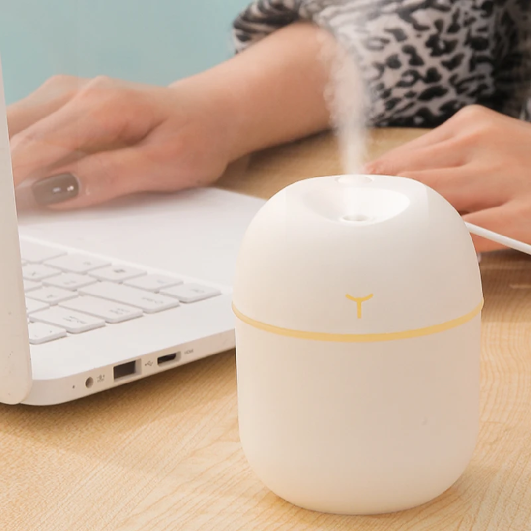 250ml Mini USB Humidifier