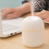 250ml Mini USB Humidifier