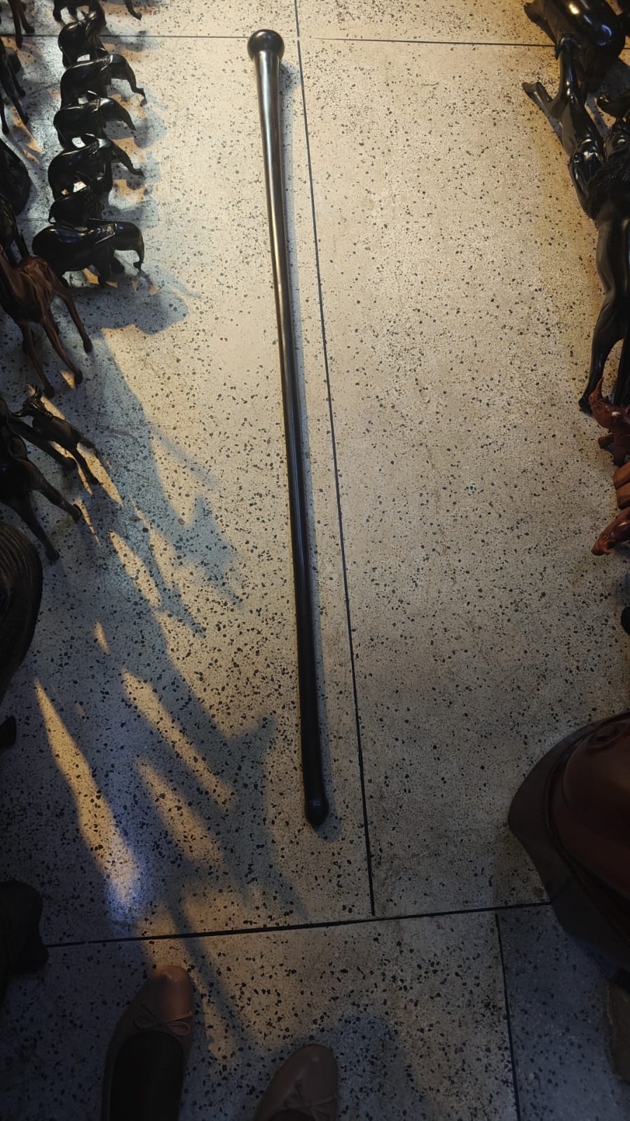 Wooden Walking Stick