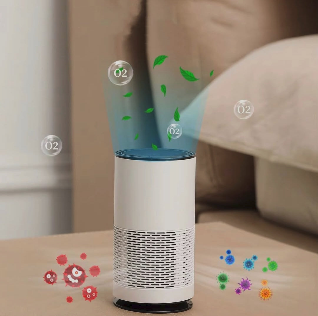 USB Air Purifier with Humidifier