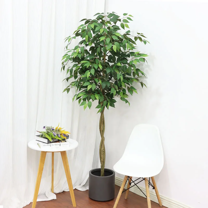Artificial Ficus Plant