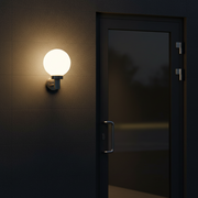Stainless Steel Outdoor Wall Light LL 2002-91-DL-SS