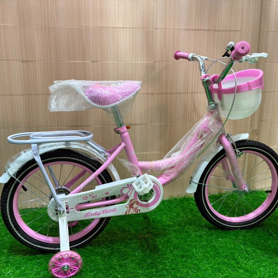Ladybird Kids Bicycle with Adjustable Seat