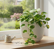 Coral square plastic planter pot with 4-liter capacity