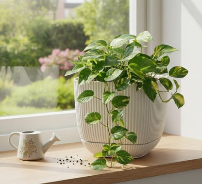Coral square plastic planter pot with 4-liter capacity
