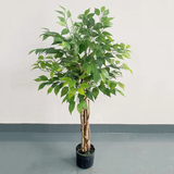 Artificial Ficus Plant