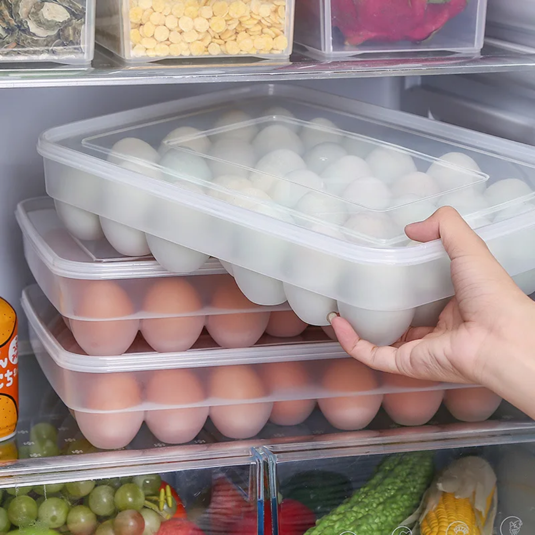 Egg Tray