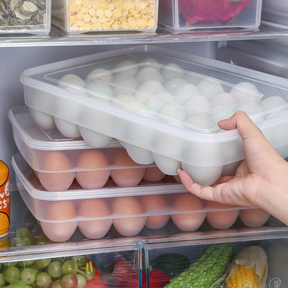 Egg Tray