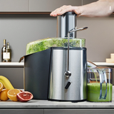 800 Watts Electric Juicer