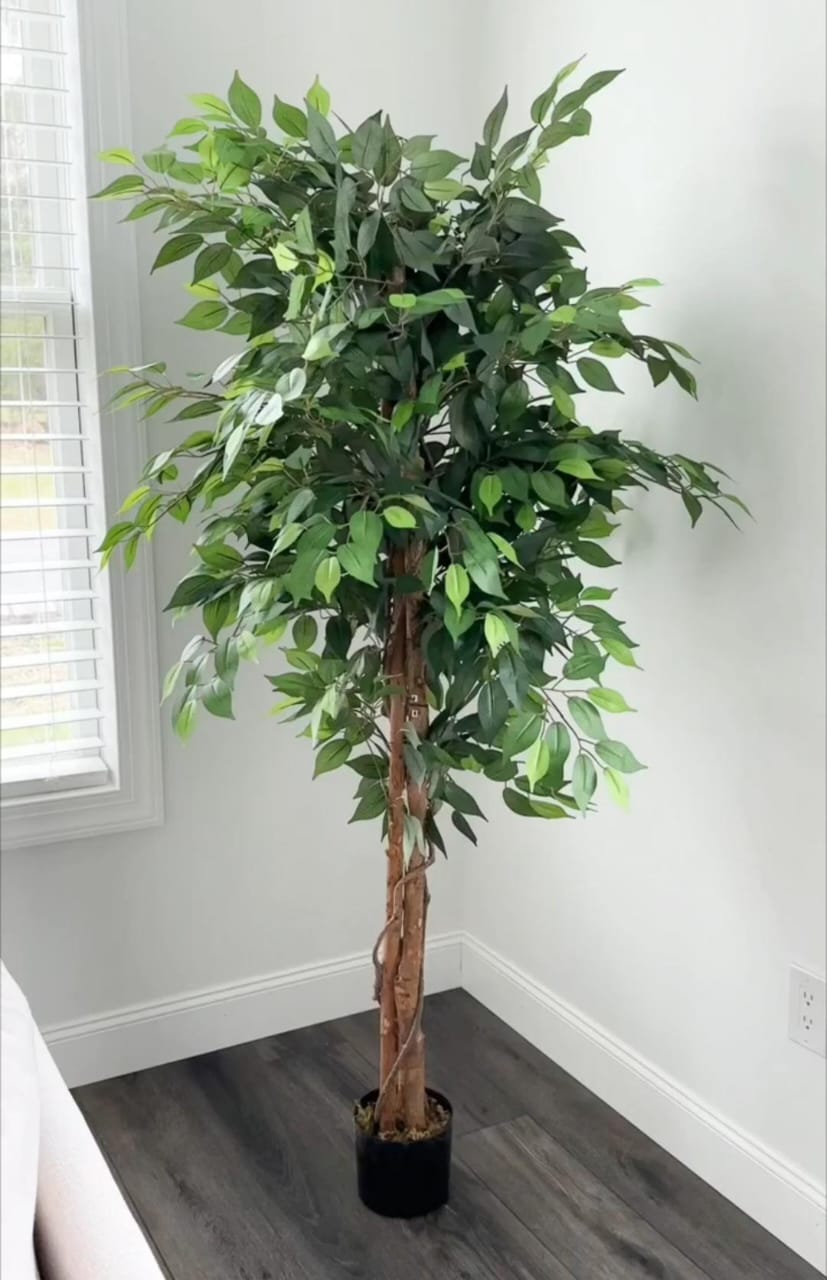 Artificial Ficus Plant