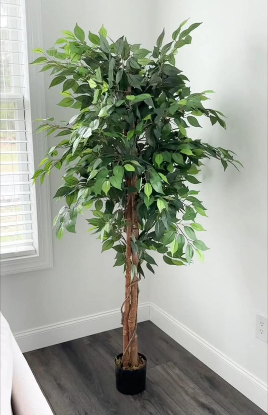 Artificial Ficus Plant