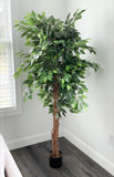 Artificial Ficus Plant