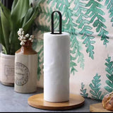 Metallic Paper Towel Holder