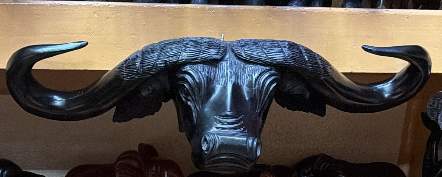 50 cm Black Buffalo Head Carving
