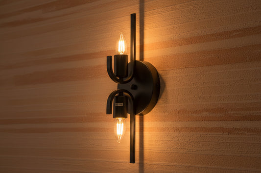 Black dual head wall lamp with iron body, modern indoor E27 lighting fixture with two bulbs