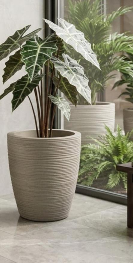 Tall tapered planter for stylish indoor and outdoor plant displays in homes, offices, and gardens.