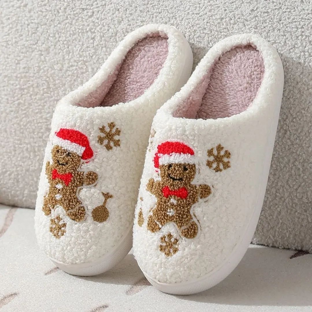 Indoor Shoes