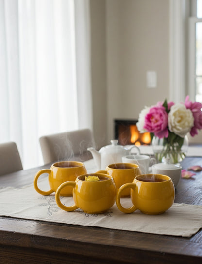 6Pcs Ceramic Mugs Set