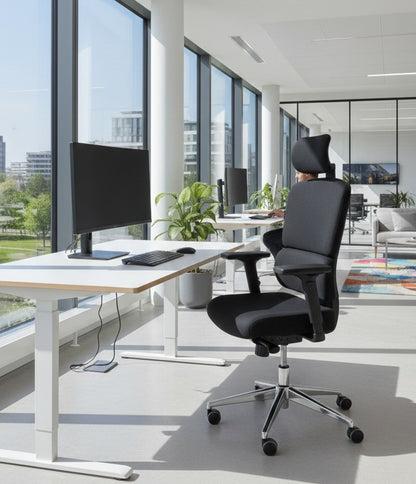 Executive Ergonomic Office Chair