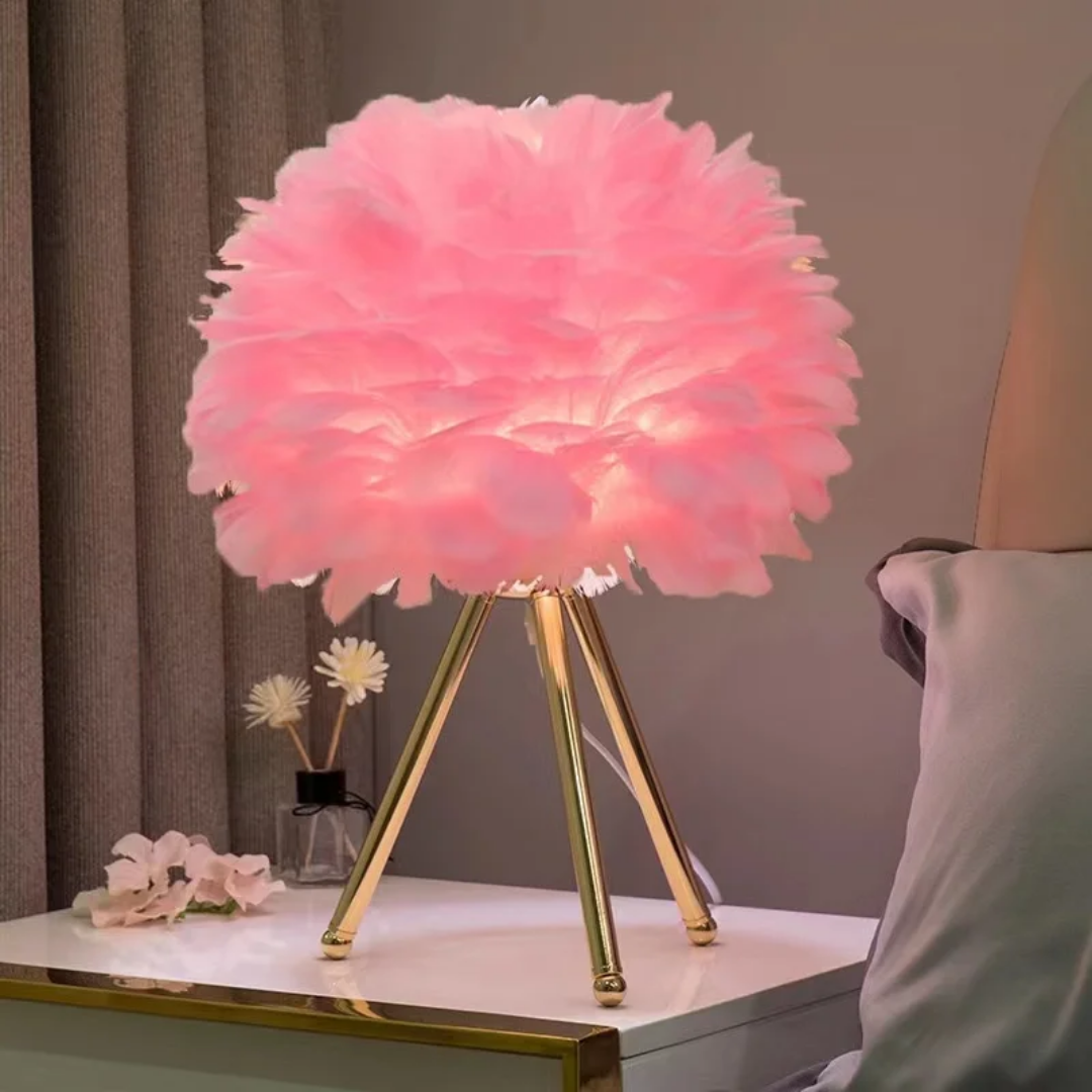 Feather Night light