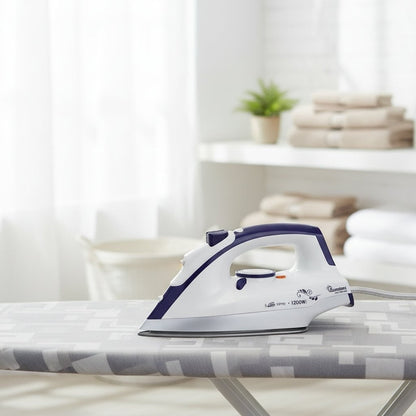 Dry Iron Box with Spray – RM/693