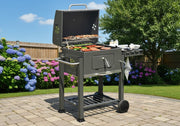 Outdoor Garden Barbecue Portable BBQ Grill with Charcoal Trolley