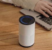 USB Air Purifier with Humidifier