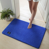 Door Floor Mat