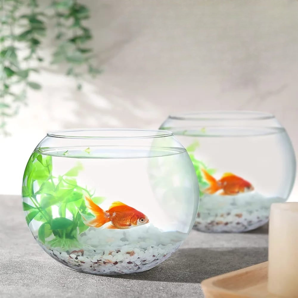Glass Fish Bowl Bubble Vase