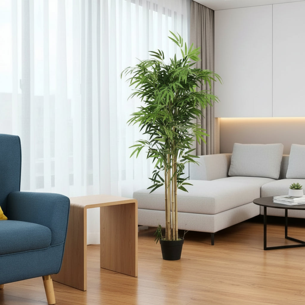 Potted bamboo house tree available in 150cm and 120cm sizes for indoor decoration