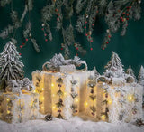 3Pc Snow Flocked Lighted Christmas Gift Box Set