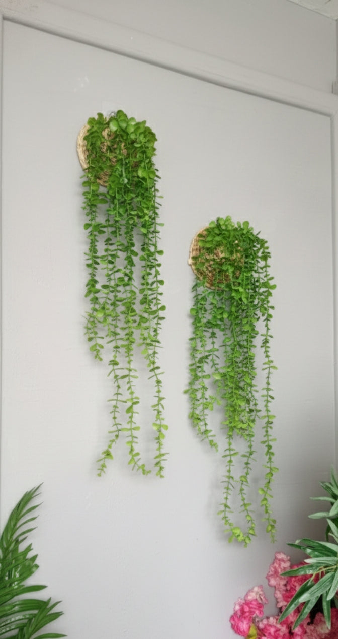 90 cm Decorative hanging plant for home or office décor.