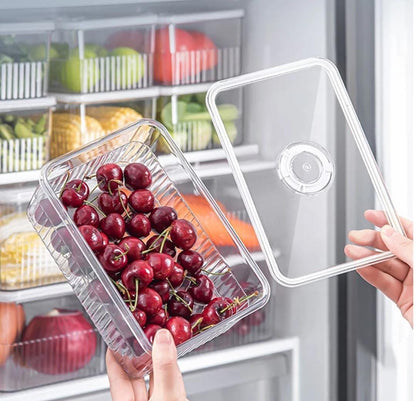 2Pcs Clear Acrylic Fridge Storage Containers