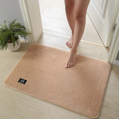 Door Floor Mat