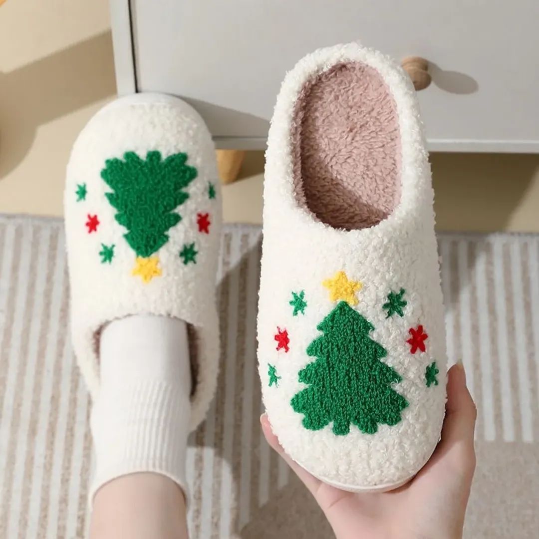Indoor Shoes