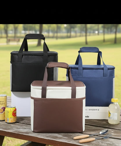 Insulated Lunch Box Handbag