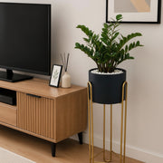 Black decorative planter for indoor and outdoor plant display.