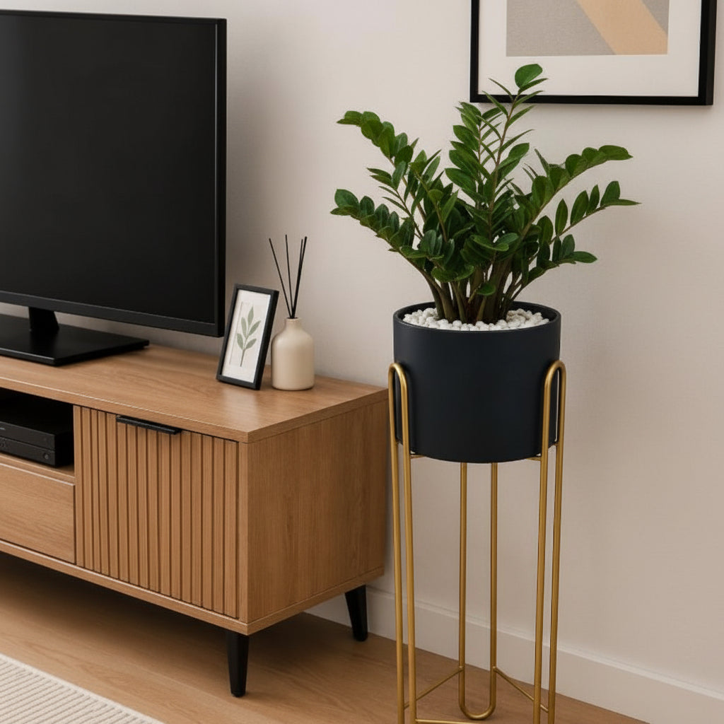 Black decorative planter for indoor and outdoor plant display.