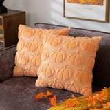 Cushion Covers & Inserts