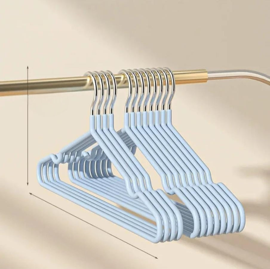10-Piece Stainless Steel Metallic Hangers Set