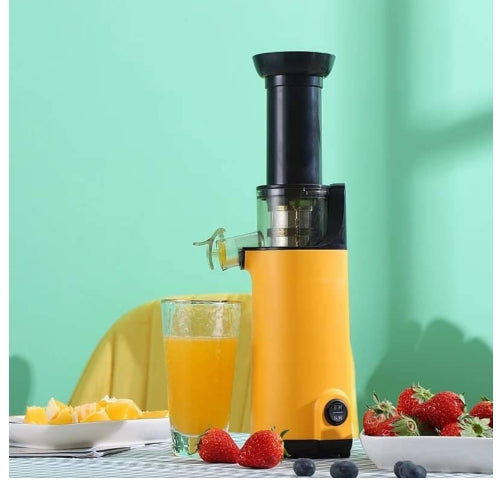 Slow Juicer Blender