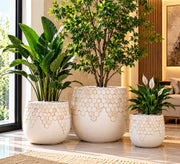 Ribbed Concrete Planters – 24.5 × 24.5 × 23 cm, 35 × 35 × 31.5 cm and 48 × 48 × 41.5 cm