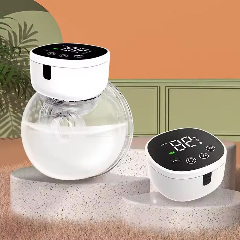 Rechargeable wearable pump