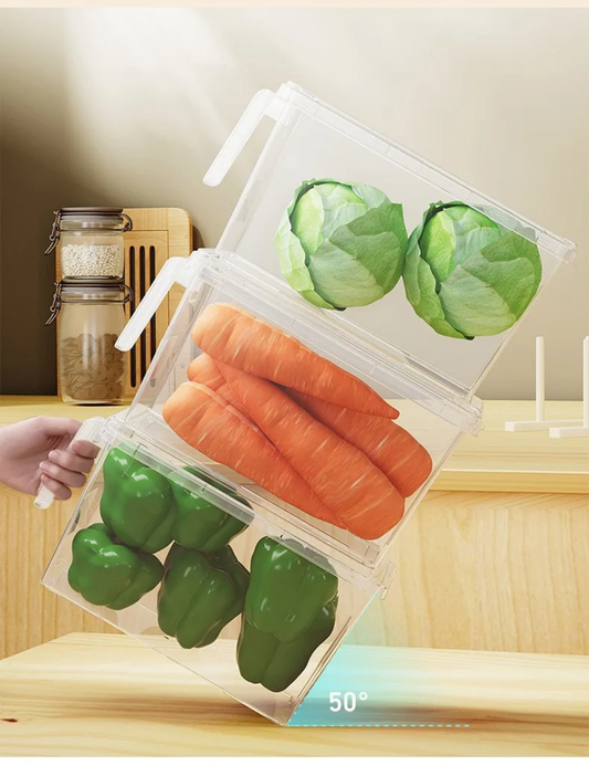 Vegetable Eggs and Meat Storage Box