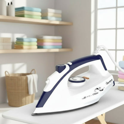 Dry Iron Box with Spray – RM/693
