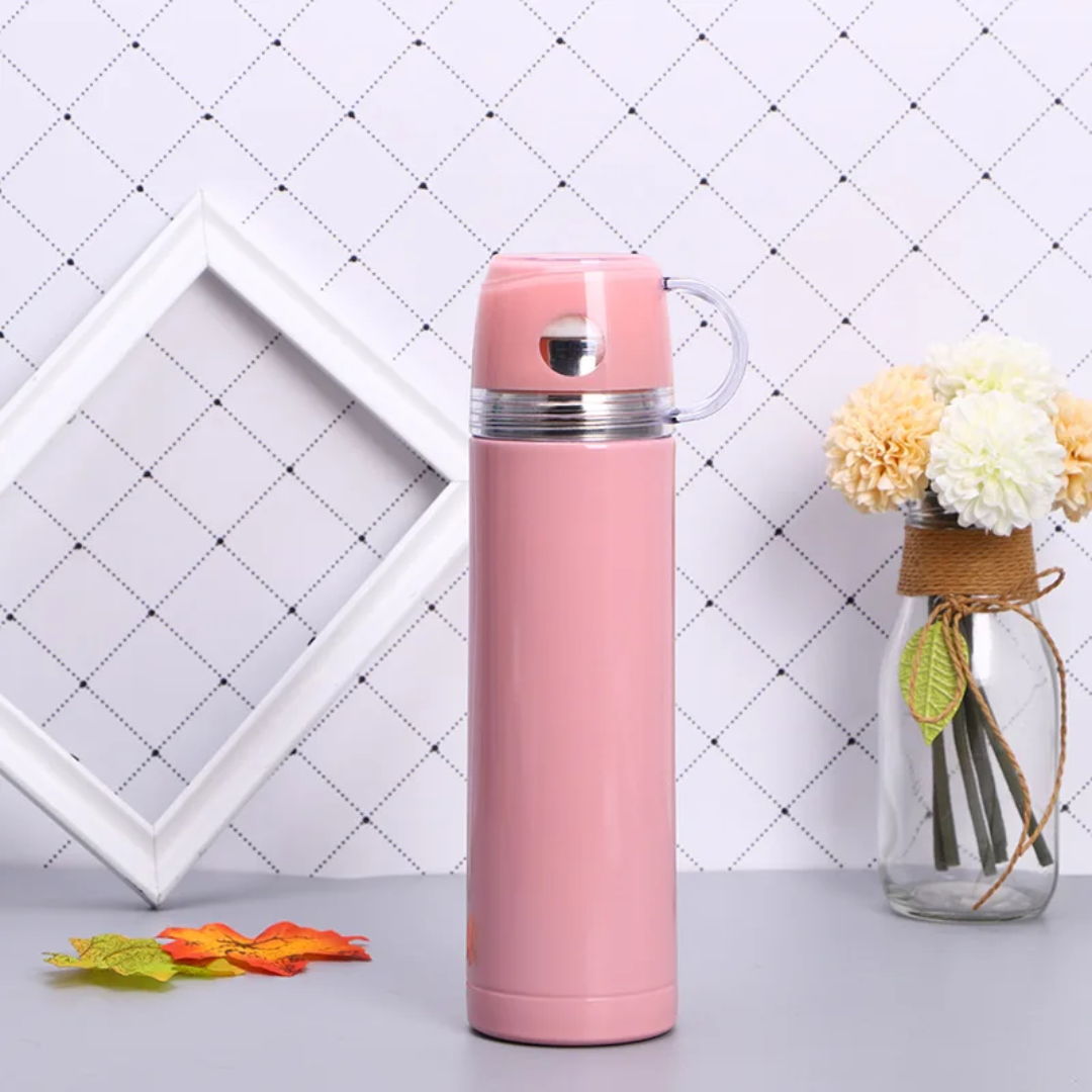 Stainless Steel Flask