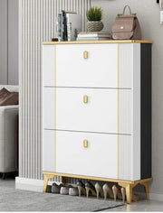 Double layer bucket flip shoe cabinet with slim space-saving design and modern finish